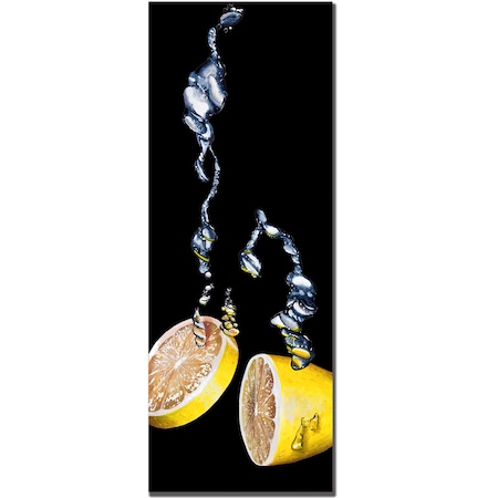 Roderic Stevens 'Lemon Splash' Canvas Art,12x32